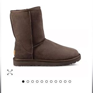NIB chocolate classic short uggs